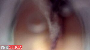 Sperma wcipce: Μια κρυφή κάμερα από μια έκπληξη creampie