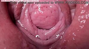 Голямата задница на милфата се справя с чудовищен кур в този видеоклип на кучки за сперма
